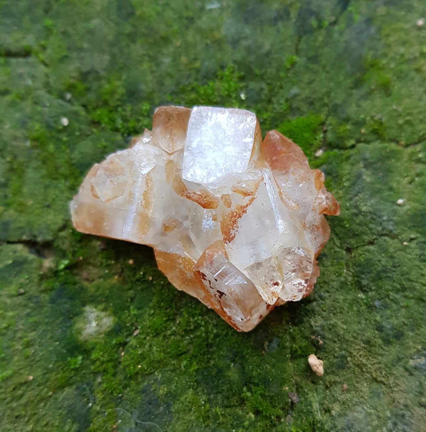 Small Natural Apophylite Crystal Cluster, Healing Crystal, Mineral Specimen, Mineral Collection - LunarGem - 