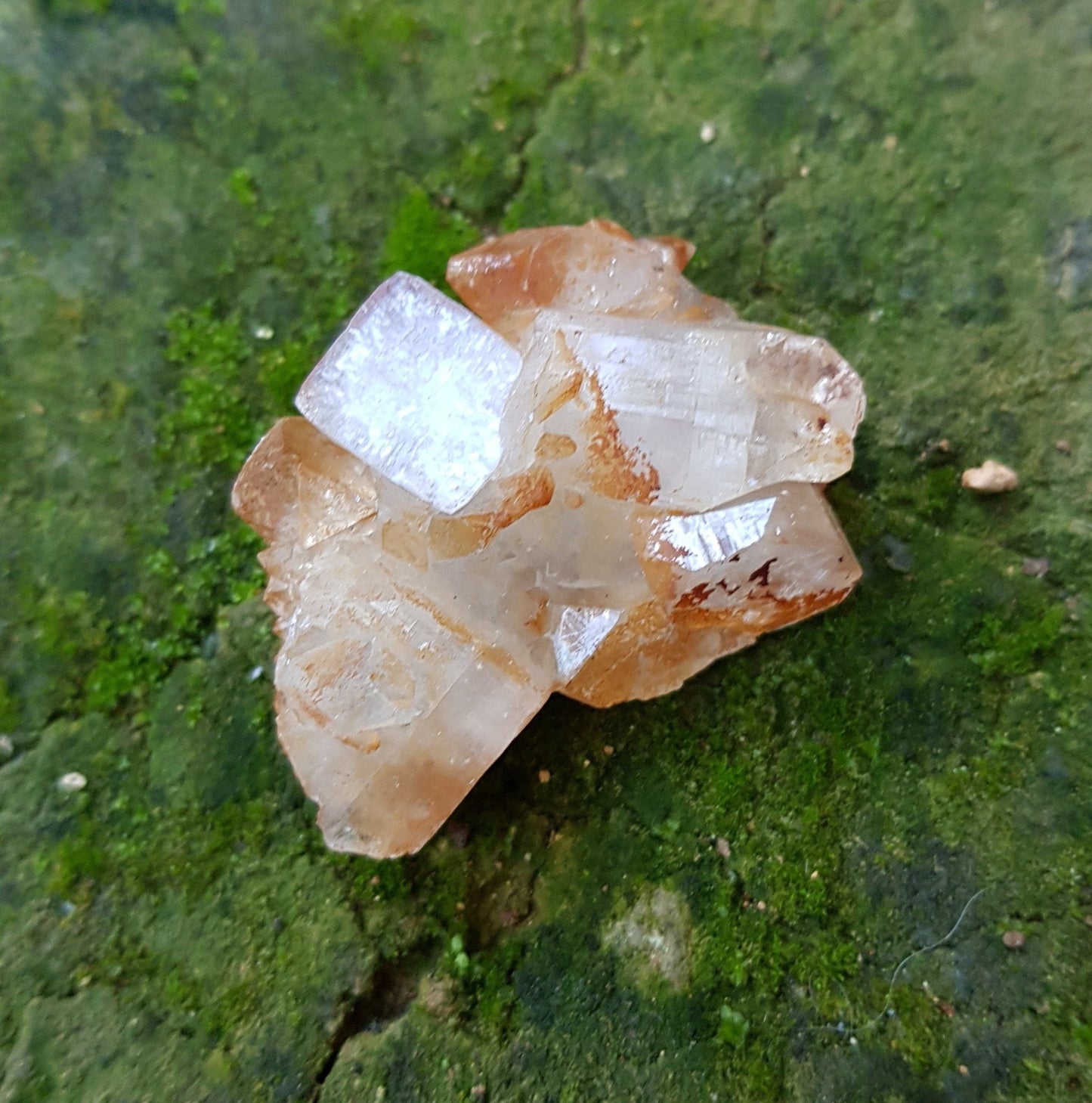 Small Natural Apophylite Crystal Cluster, Healing Crystal, Mineral Specimen, Mineral Collection - LunarGem - 