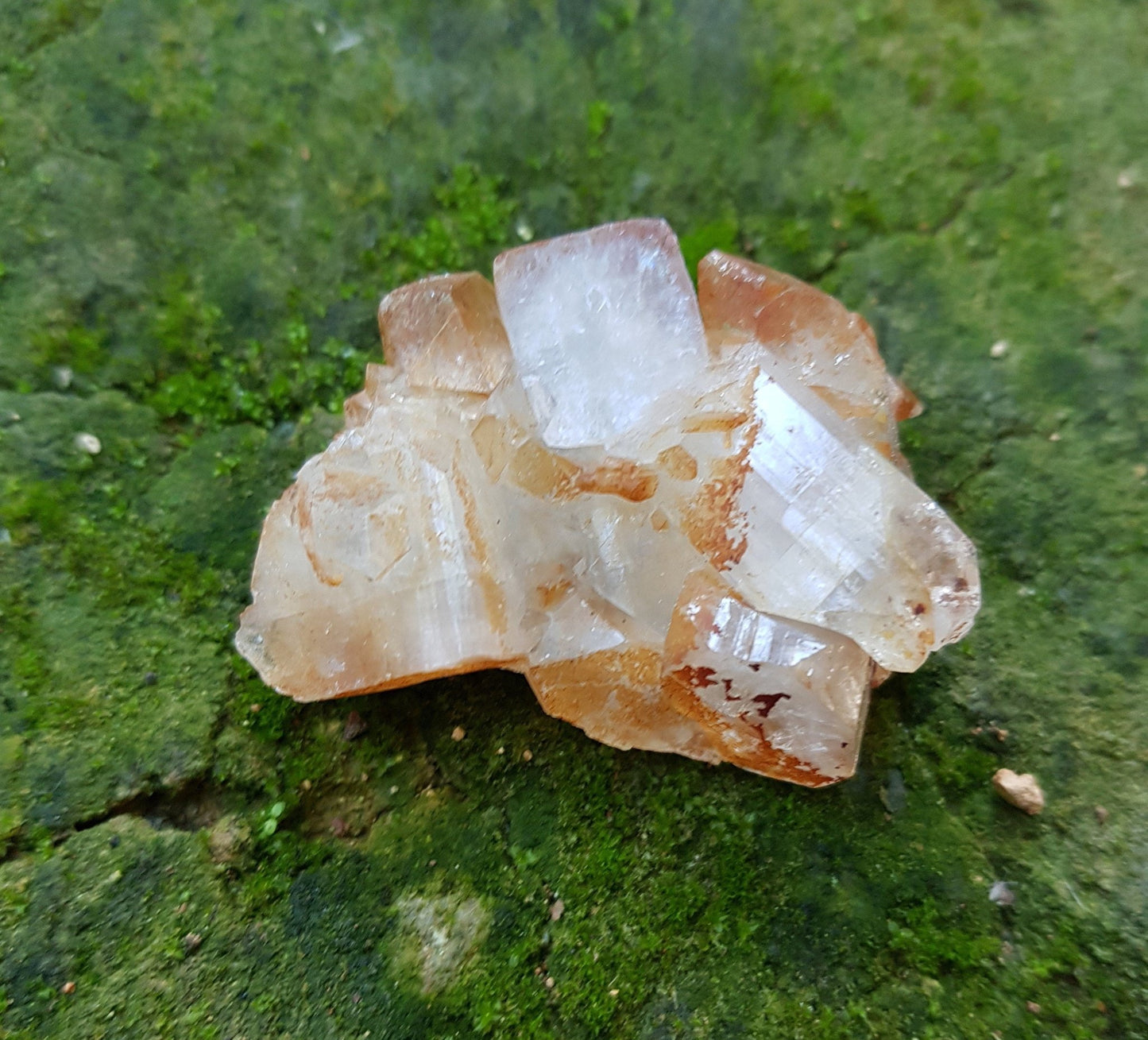 Small Natural Apophylite Crystal Cluster, Healing Crystal, Mineral Specimen, Mineral Collection - LunarGem - 