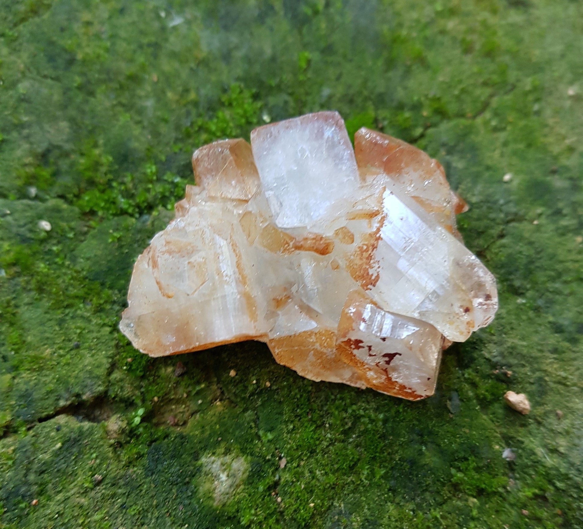 Small Natural Apophylite Crystal Cluster, Healing Crystal, Mineral Specimen, Mineral Collection - LunarGem - 