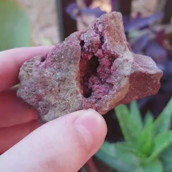 Pink Cobalt Calcite Druzy Raw Natural Clusters Mineral Specimen 114g