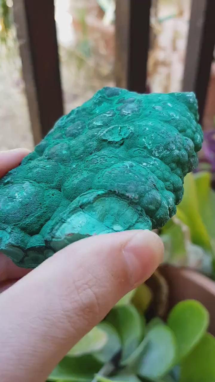 Malachite buying botryoidal specimen