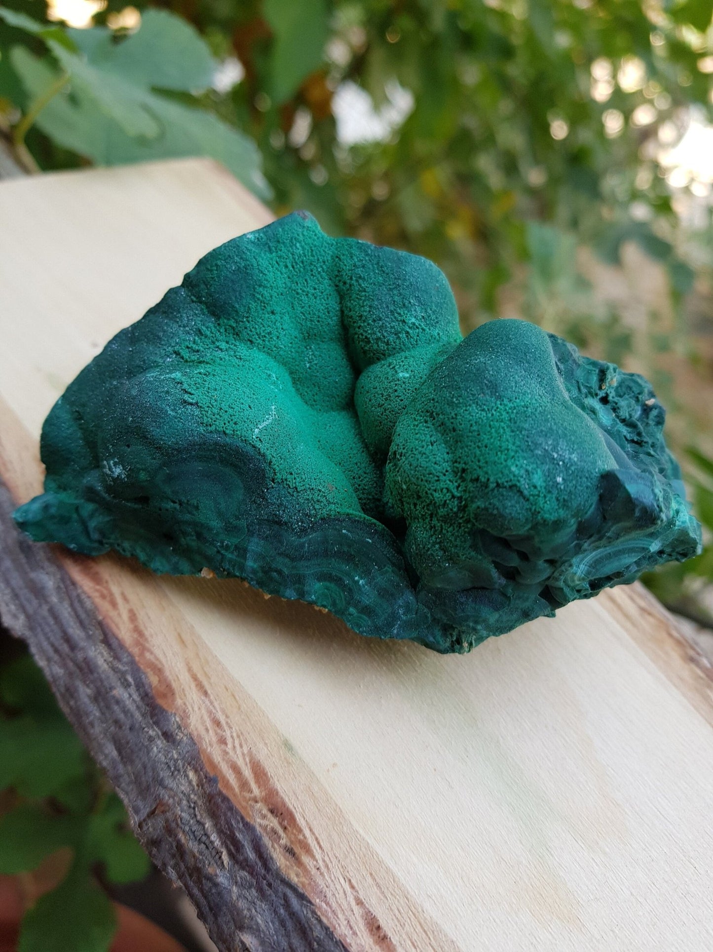 Botryoidal Malachite Specimen 285g Raw Natural Malachite Specimen from Congo, Raw Malachite, - LunarGem - 