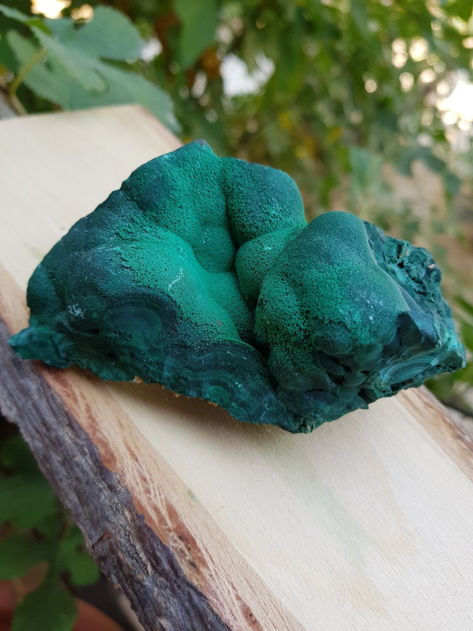 Botryoidal Malachite Specimen 285g Raw Natural Malachite Specimen from Congo, Raw Malachite, - LunarGem - 