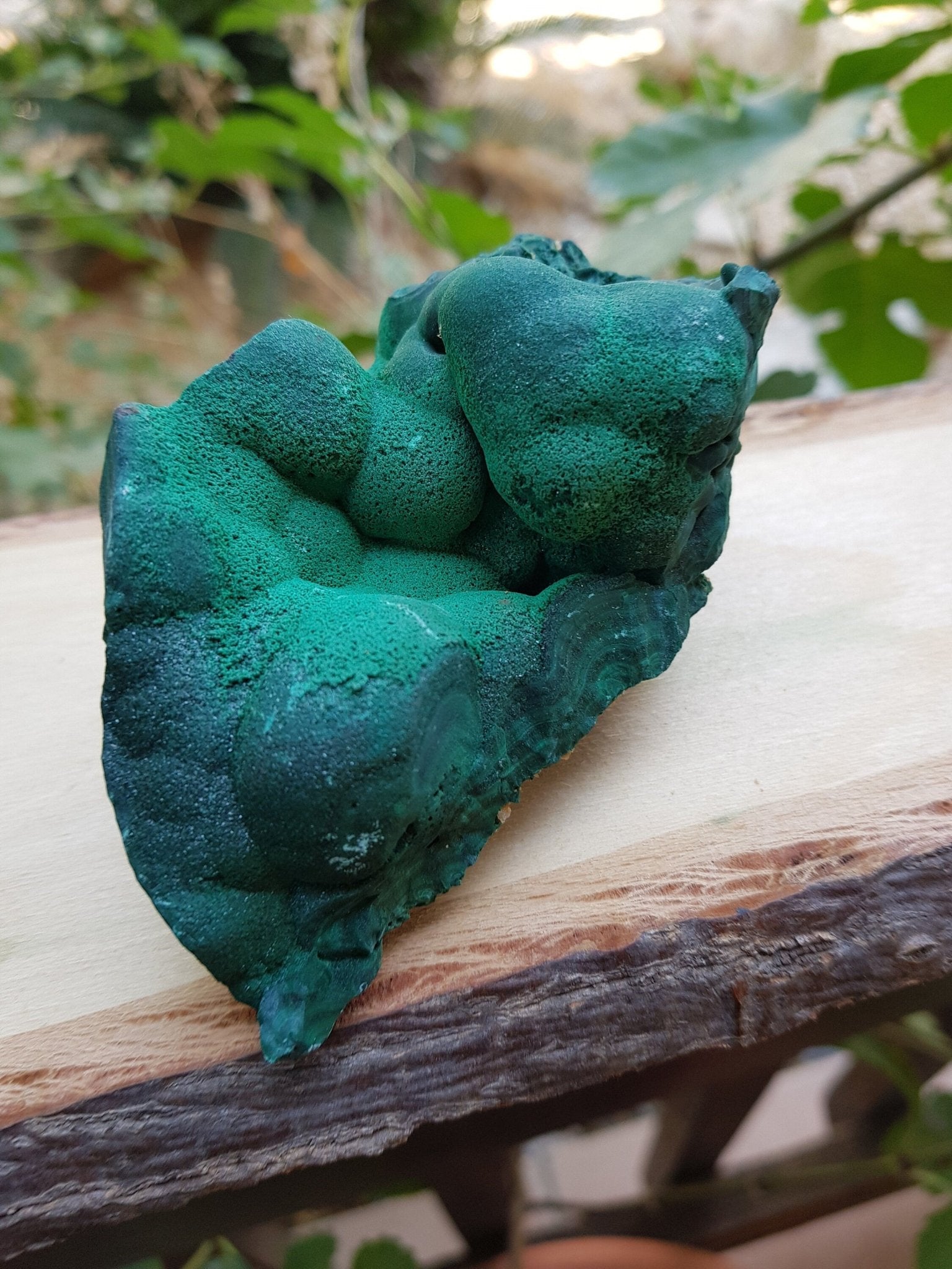 Botryoidal Malachite Specimen 285g Raw Natural Malachite Specimen from Congo, Raw Malachite, - LunarGem - 