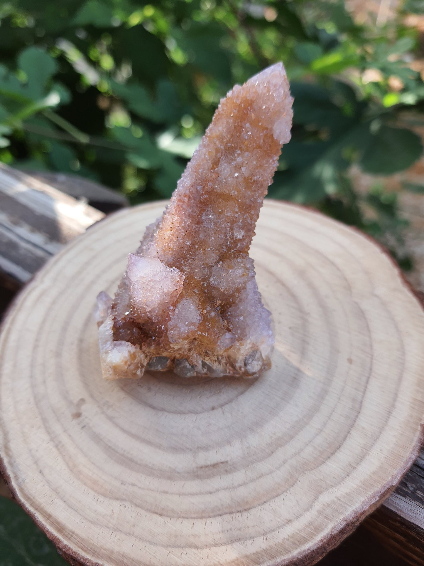 Amethyst Spirit Quartz , Amethyst Cactus Quartz, Crystal Ring Holder, 65 gm