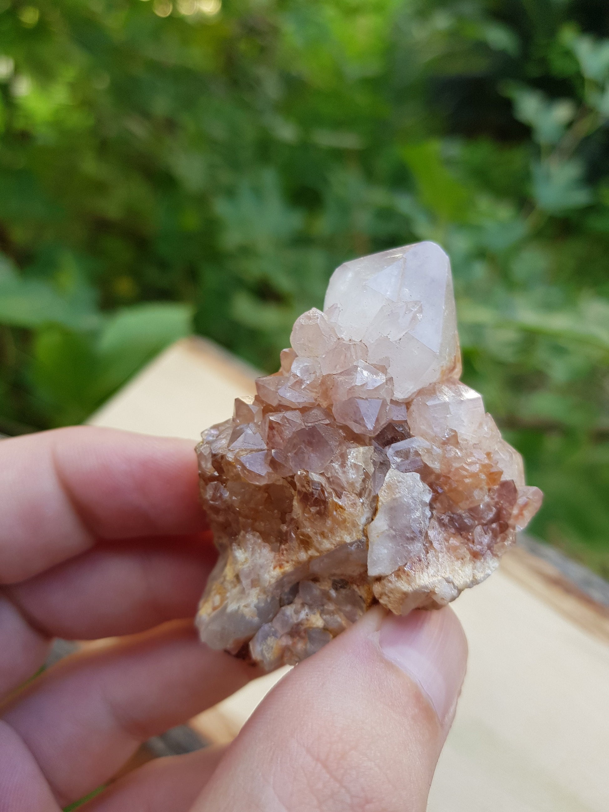 Amethyst Spirit Quartz , Amethyst Cactus Quartz, Crystals Rocks Minerals