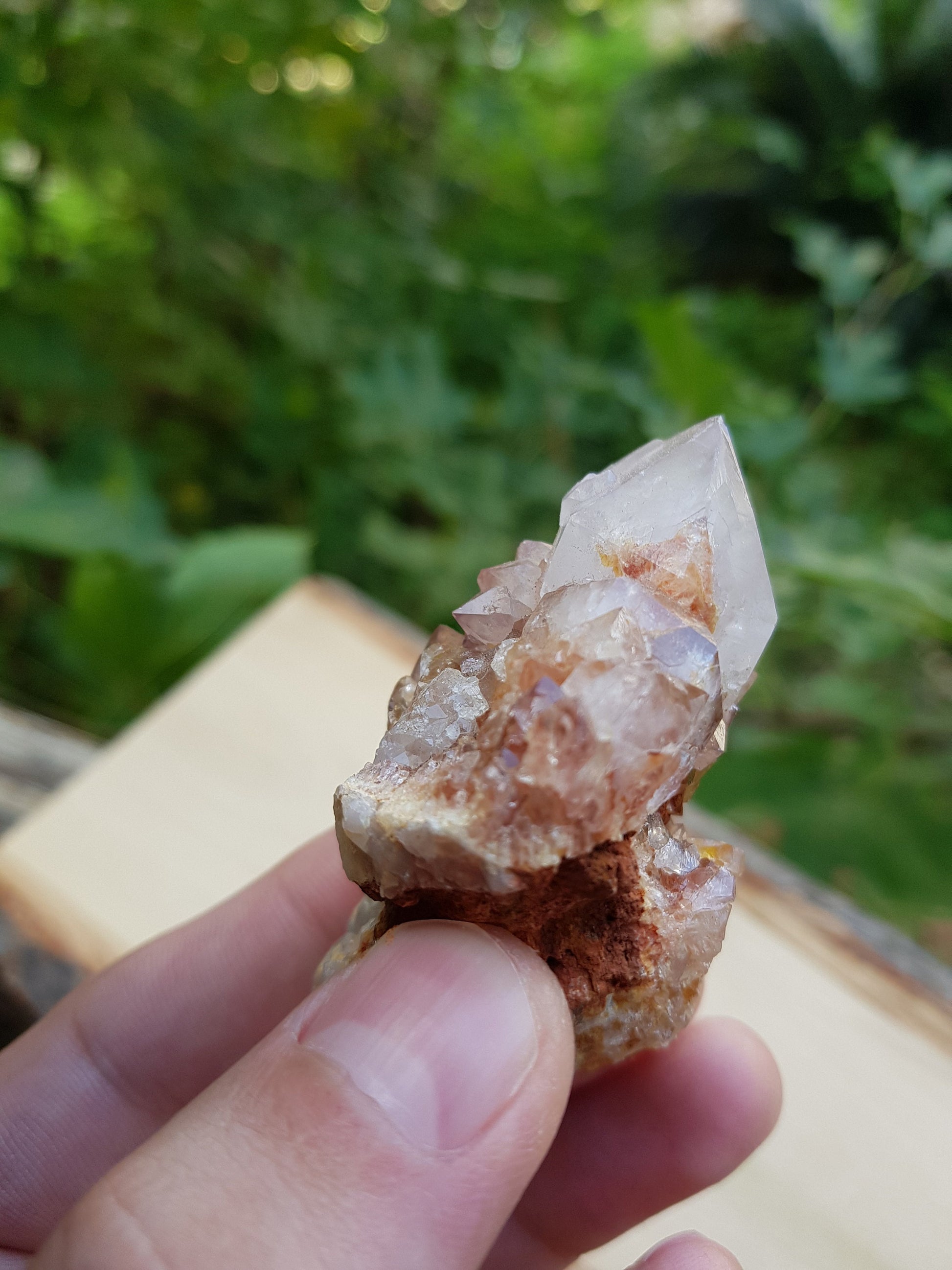 Amethyst Spirit Quartz , Amethyst Cactus Quartz, Crystals Rocks Minerals