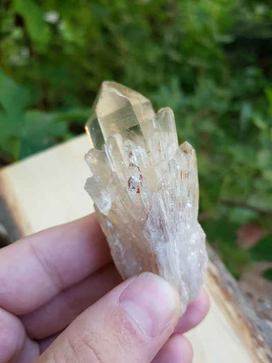 A++ Natural Congo Citrine Cluster Medium Mineral Specimen Kundalini Citrine Cluster Collectors Specimen 92g